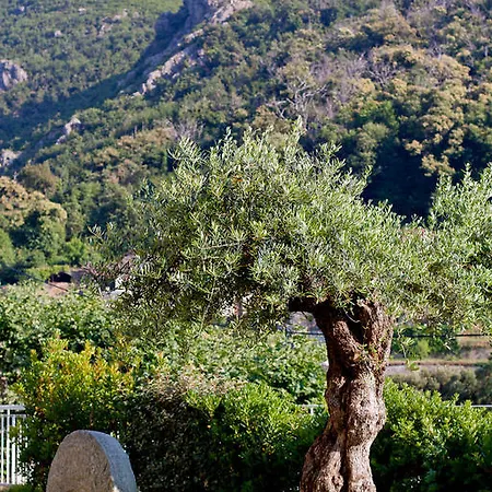 Hotel Sant'andria Oletta (Corsica)
