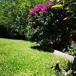 Sant'andria Hotel 3*