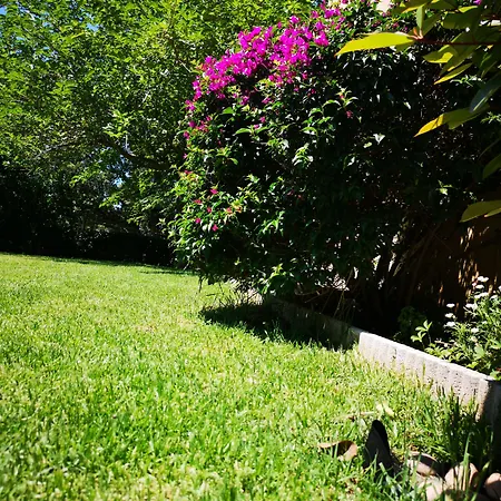 Sant'andria Hotel 3*