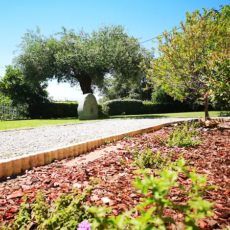 Sant'andria 3* Oletta (Corsica)