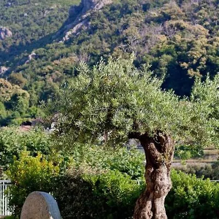 Hotel Sant'andria