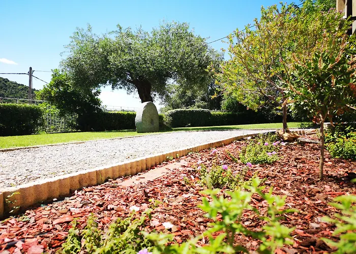 Sant'andria 3* 奥莱塔