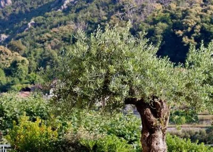 فندق Sant'andria